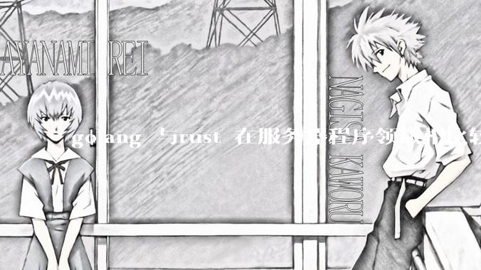 golang 与rust 在服务器程序领域相比较，各有什么优劣势？