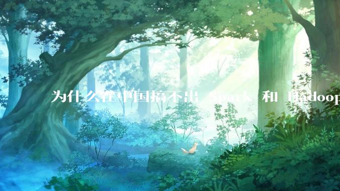 为什么在中国搞不出 Spark 和 Hadoop 这种东西？