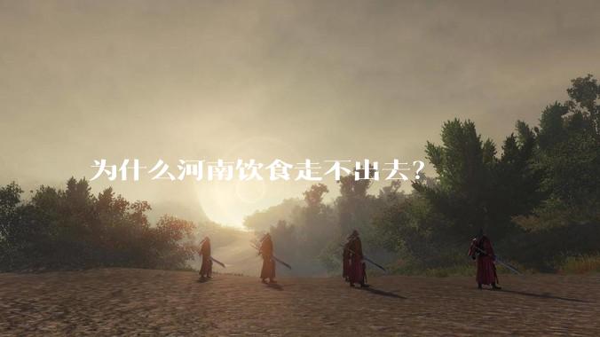 为什么河南饮食走不出去？