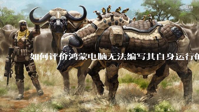 如何评价鸿蒙电脑无法编写其自身运行的程序？