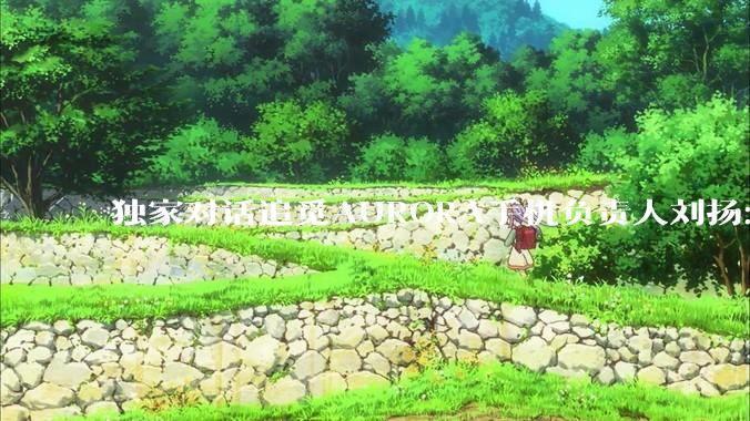 独家对话追觅AURORA手机负责人刘扬：全球80%利润被苹果吃掉，要和国产厂商一起突围_行业_市场_科技