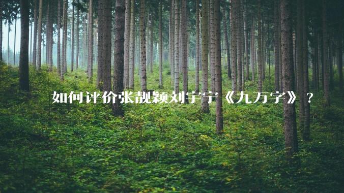 如何评价张靓颖刘宇宁《九万字》?