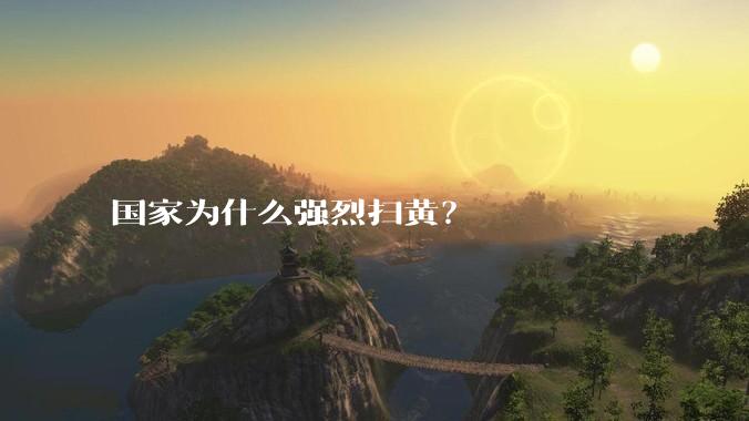 国家为什么强烈扫黄？