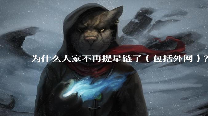 为什么大家不再提星链了（包括外网）？